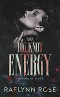 Big Knot Energy: An Omegaverse Why Choose Romance by Raelynn Rose