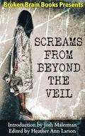 Screams From Beyond The Veil: A Horror Anthology by Jon Cohn