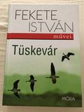 Tüskevár by István Fekete
