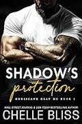Shadow's Protection by Chelle Bliss