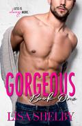 Gorgeous: Book One (Gorgeous #1) by Lisa Shelby