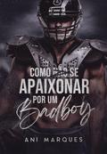 Como Não Se Apaixonar Por Um Bad Boy by Ani Marques