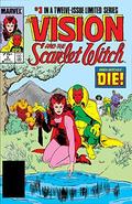 The Vision and The Scarlet Witch (1985-1986) #3 (The Vision and The Scarlet Witch (1985) #1) by Richard Howell