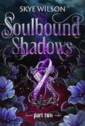 Entwined By Fate And Darkness (Soulbound Shadows #2) by Skye Wilson