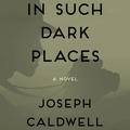 In Such Dark Places: A Novel by Joseph Caldwell