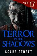 Terror in the Shadows Vol. 17 by Sara Clancy