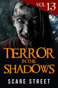 Terror in the Shadows Vol. 13 by Ryan C. Robert