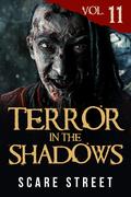 Terror in the Shadows Vol. 11 by Anna Sinjin